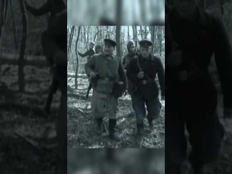 Гриша разговаривает с майором Тимофеевым в лесу #shorts #вов #1942 #фильмы #сериал