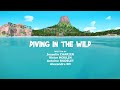 Grizzy and the lemmings diving in the wild world tour season 3