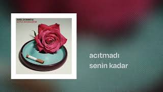 Acıyla Kucaklaştım