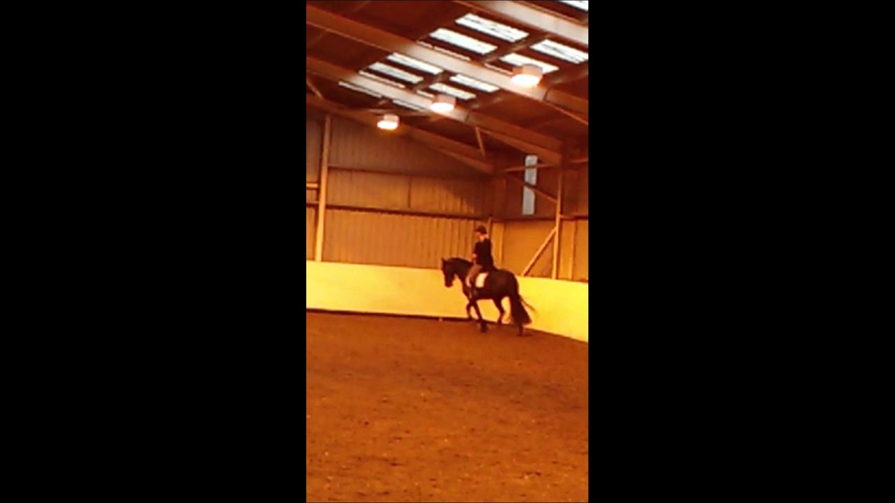 Bryncendl samuel welsh d