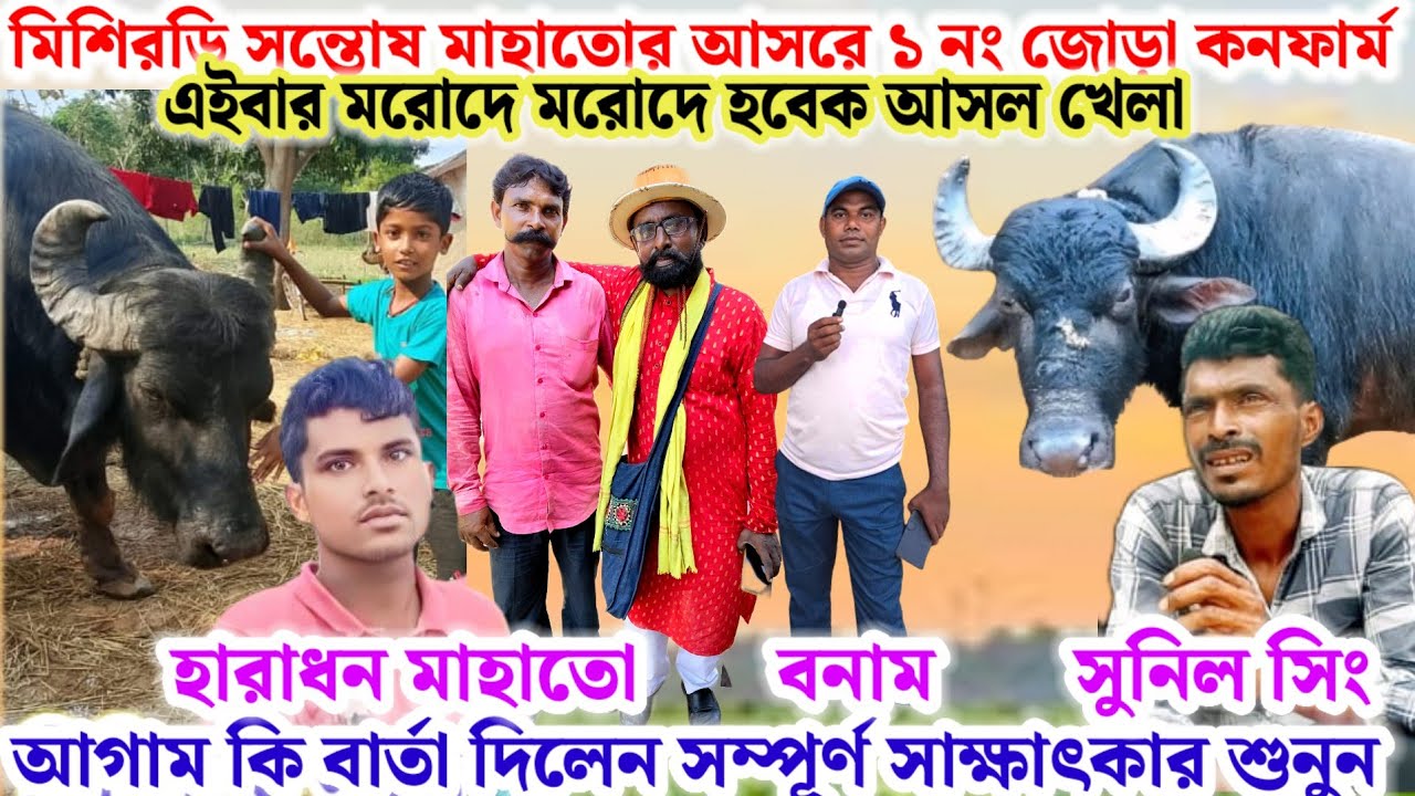 মিশিরডি🌼সন্তোষ মাহাতোর আসরে ১ নং কাড়ার জোড়া কনফার্ম🔥হারাধন মাহাতো বনাম সুনিল সিং কি বললেন শুনুন💢