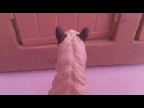 Schleich horse tinys morning routine 🌞 - YouTube
