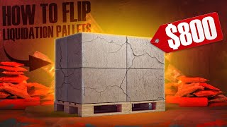 Introduction to Flipping Liquidation Pallets for a Profit | Complete Summary for Beginners