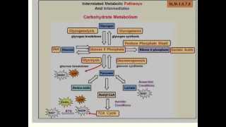 Nonspherocytic Hemolytic Anemia