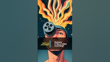 Memory is like a video recording?