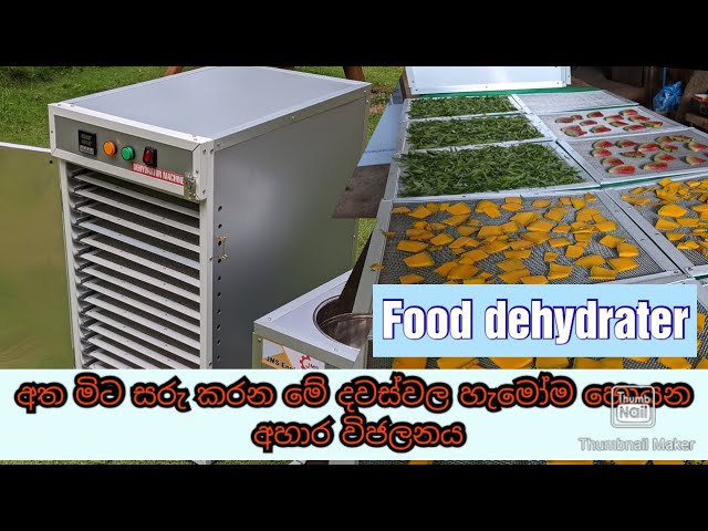 අත මිට සරුකරගන්න ආහාර විජලන ව්‍යාපාරයක් ආරම්භ කරමු  | food dehydrate