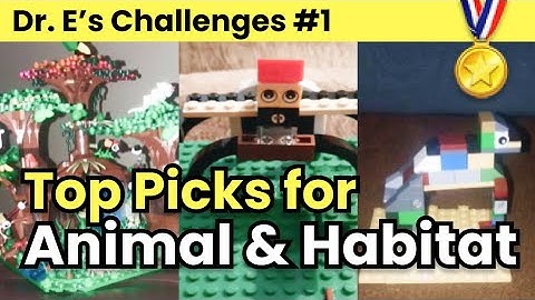 Top Picks for Dr. E’s Challenge #1: Animal and Habitat