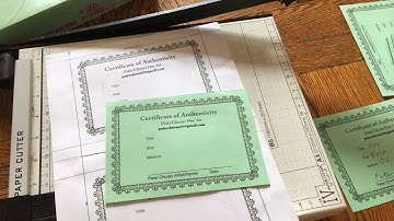 Certificate of Authenticity for Art Direct from Artist