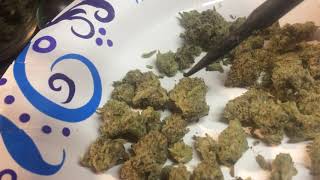 Cannabis Strain Review “Merit Badge” w/Professor E