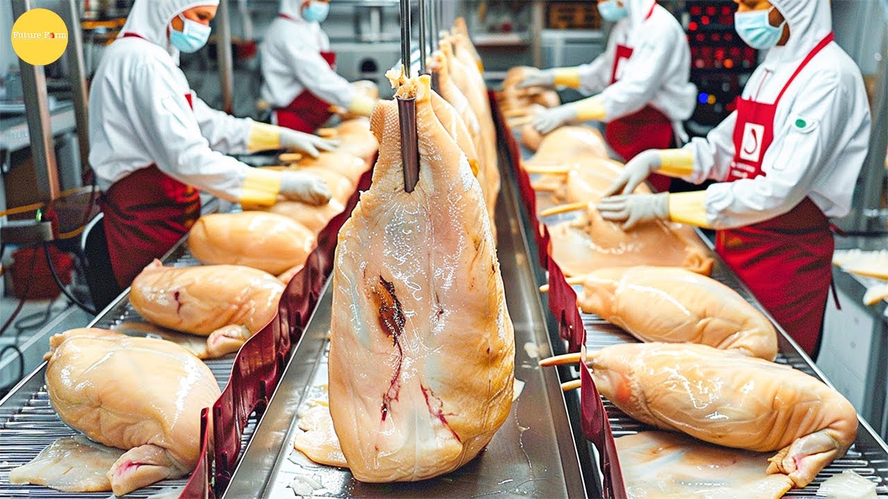 The Truth Behind France’s Most Expensive Foie Gras – How Foie Gras Is ...