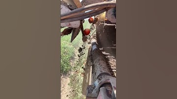 Watching It Work Is Truly Mesmerizing