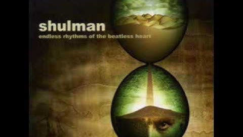 Shulman - Odd Reflections