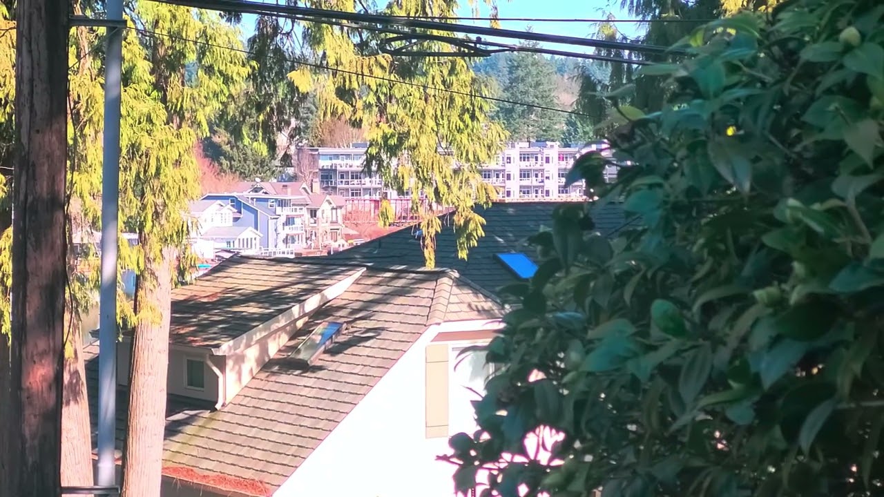 PNWR Tigard Turn Passing Through Lake Oswego, Oregon on Monday, March 2nd, 2026