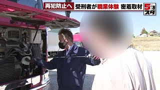 服役中の受刑者「トラックに乗りたい。でもこの年からやっていけるか」　再犯をしない鍵“出所後の職探し” (2024年3月6日)