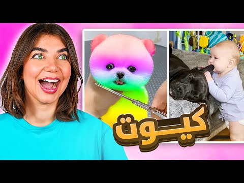 أذا بتحكي كيوت بتخسر