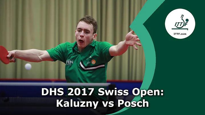 DHS 2017 Swiss Open: Kaluzny vs Posch