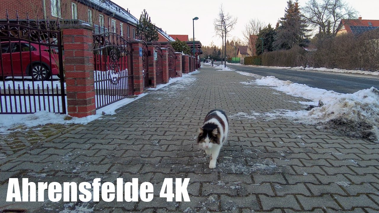 Ahrensfelde, Brandenburg, Germany,  filmed in 4K