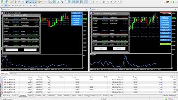 Gradiente Linear Ao Vivo - Pregão 26 de Fevereiro 2021 - Sexta-feira