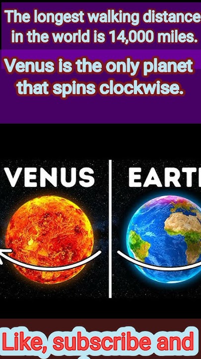 the-only-planet-that-spins-clockwise-shortsfeed-planet-venus-shorts