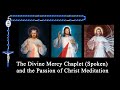 The Divine Mercy Chaplet Spoken (with the Passion of Christ Meditation) in 4K