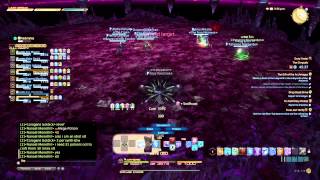 FINAL FANTASY XIV: A Realm Reborn Yolo WHM Mode