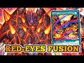 New Red-eyes Fusion monster -Yu-Gi-Oh Rush Duel - Thoughts and Deck Testing
