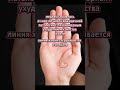 Хиромантия онлайн, для записи на консультацию пишите в ТГК put_osoznan #хиромантия