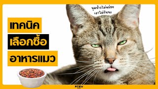 Techniques For Buying Cat Food That Is Most Suitable For Your Cat.
