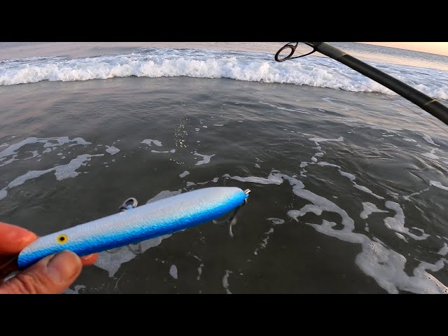 Cotton Cordell Pencil Popper 1 Oz Fishing Lure – Chrome/Blue Back Topwater