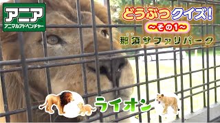 【公式】アニア どうぶつクイズ！その1【タカラトミーキッズ】那須サファリパーク | 動物園 | サイ | ライオン | たのしく学ぼう | 生態 | 習性 | ファミリー