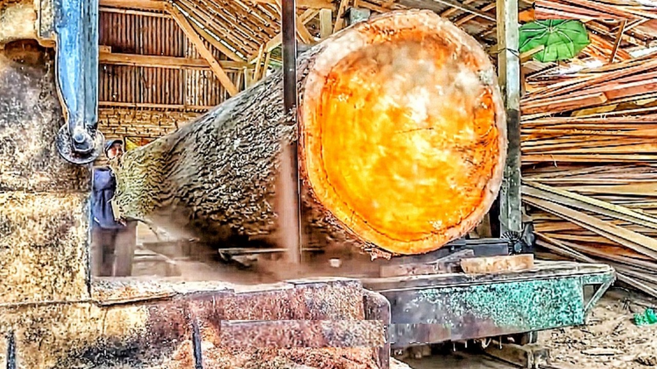 Massive Redwood Logs Being Sliced at the Sawmill 🌲⚙️