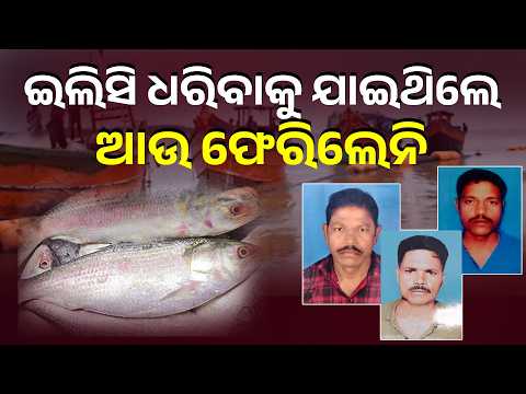 15 Fishermen Missing in Deep Sea Off West Bengal Coast, No Trace After 7 Days | Knews Odisha
