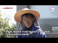 Saving Japan’s tortoiseshell dragonflyーNHK WORLD-JAPAN NEWS
