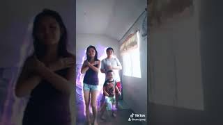 My Family's April 2020 Tiktok Compilation!