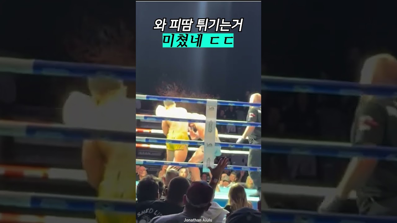 경기 직관하는 이유 ㄷㄷ