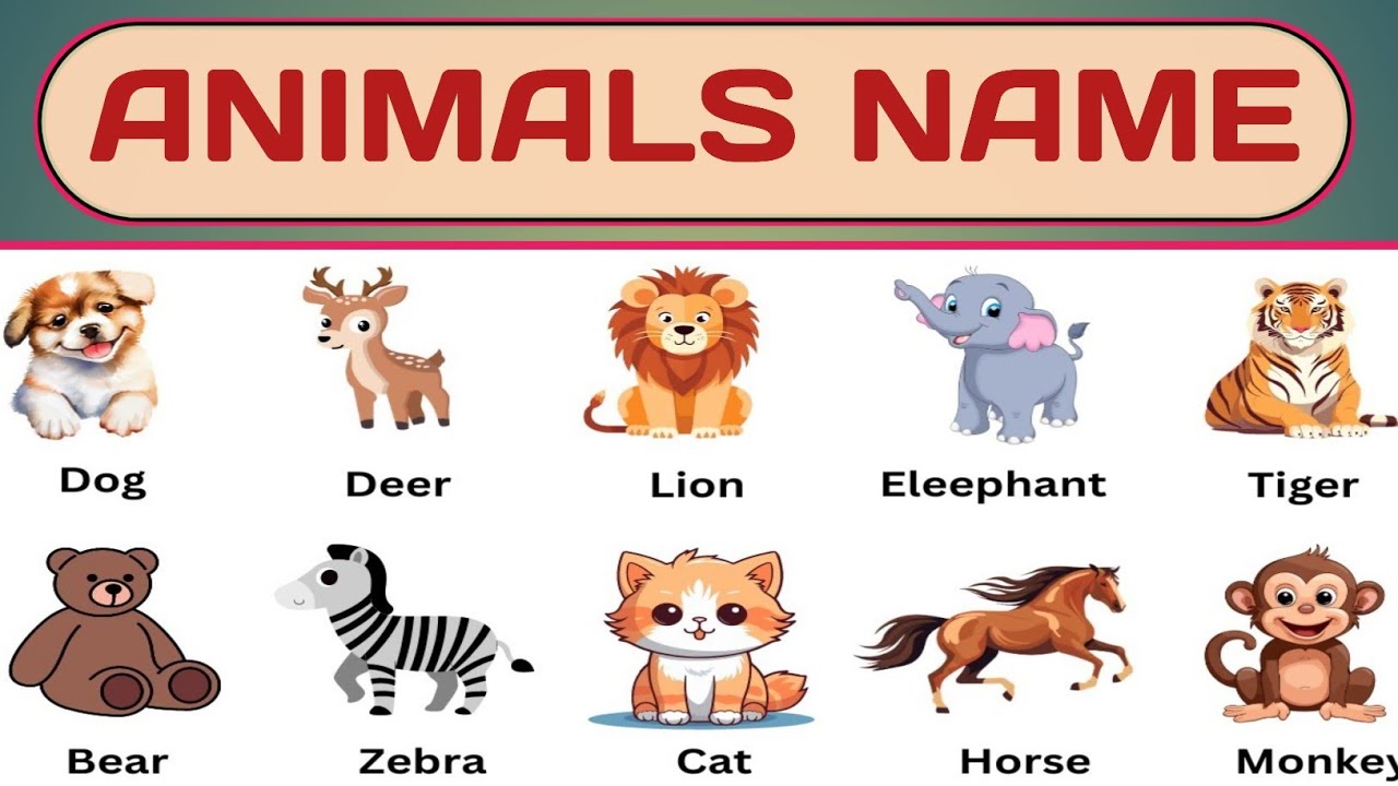 34 ANIMALS NAME IN ENGLISH WITH PICTURES || ANIMALS VIDEO || ANIMALS ...