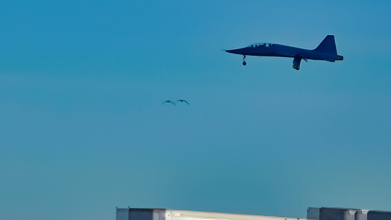 Birds Fly Under Air Force Jet Landing At Edwards Air Force Base - YouTube