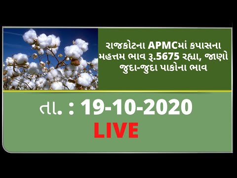 ગુજરાતની બધી જ APMCના તા.19-10-2020 દરેક પાકના ભાવ LIVE । TV9 NEWS