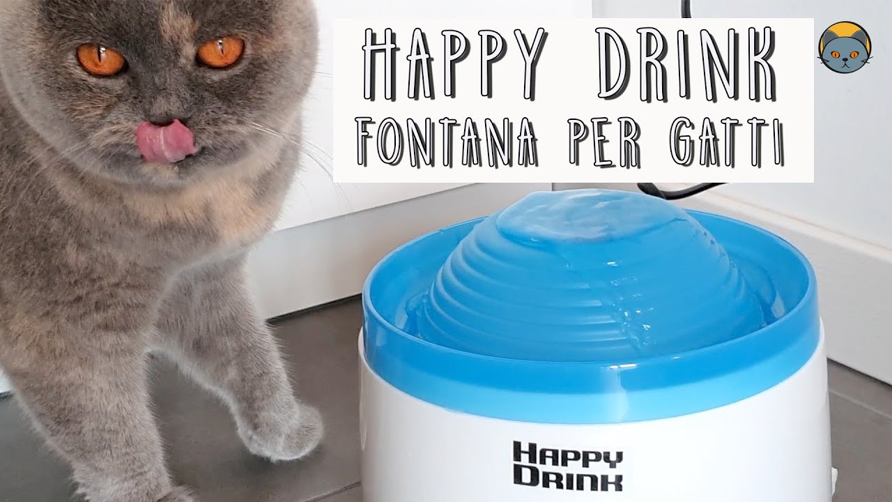 Happy drink fontana per gatti 