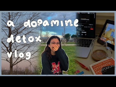 a trilingual dopamine detox (sorta) to get my life together 🦥