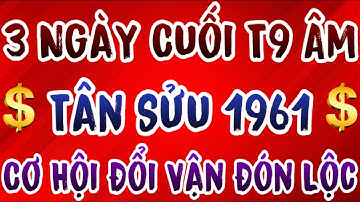 Tân Sửu 1961 Được Trời Nhắc 3 Ngày Cuối Tháng 9 ÂL – Một Việc Nhỏ Cứu Vãn Vận Trình Cả Năm