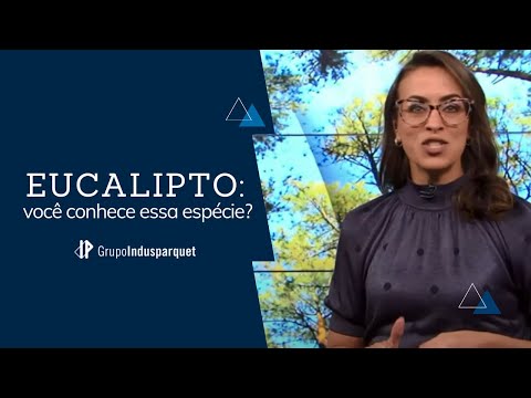 Vídeo: Qual é a origem do eucalipto?