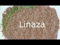 Beneficios de linaza para la salud, cabello y piel.