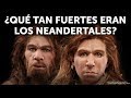 Quién ganaría: humano vs neandertal