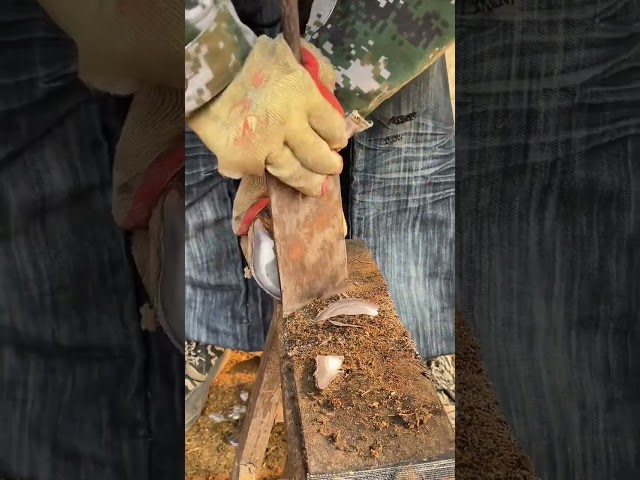 A craftsman trims a donkey's hooves skillfully and quickly. #SuccessfulStart