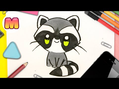 Video: Cómo Dibujar Un Mapache