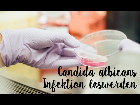 Video: Miks teil tekib Candida albicans?