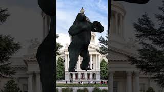 BREAKING: Court Ruling on RIGGED Title for Prop 39 Voter ID Initiative!