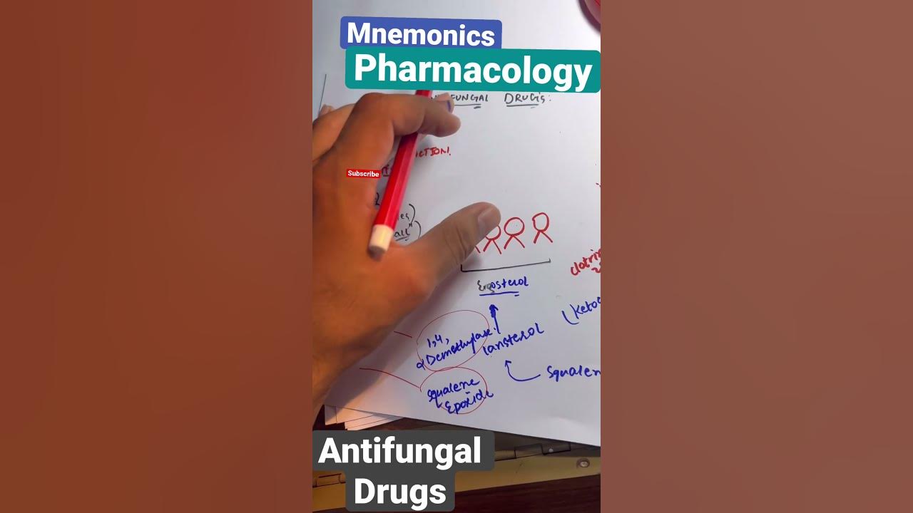 PharmacologyAnti fungalMNEMONICSClassificationHINID pharmacology