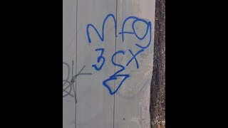 Mansfield Gangster Crips